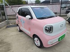 FAW Besturn Xiaoma 170km Vitality Edition - ფოტო 4