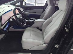 Cadillac IQ Aoge Standard Range - ფოტო 15