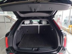 Cadillac IQ Aoge Standard Range - ფოტო 19
