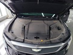 Cadillac IQ Aoge Standard Range - ფოტო 20