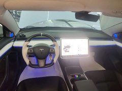 Tesla Model 3 Rear-Wheel Drive - ფოტო 10