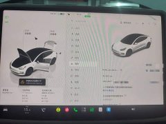 Tesla Model 3 Rear-Wheel Drive - ფოტო 12