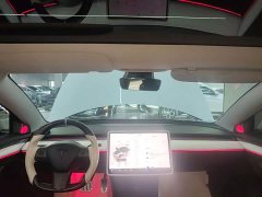 Tesla Model 3 Rear-Wheel Drive - ფოტო 18