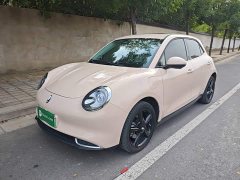 ORA Good Cat 401km Luxury - ფოტო 1