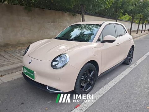 2024 ORA Good Cat 401km Luxury - ავტომობილი ჩინეთიდან
