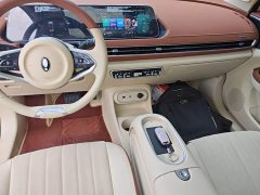 ORA Good Cat 401km Luxury - ფოტო 14