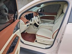 ORA Good Cat 401km Luxury - ფოტო 16