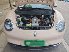 ORA Good Cat 401km Luxury - ფოტო 20