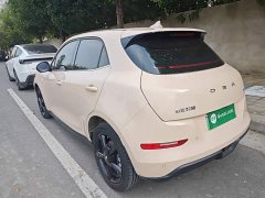 ORA Good Cat 401km Luxury - ფოტო 5