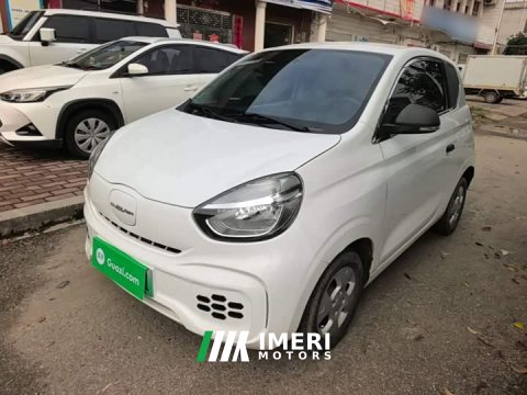 2021 SAIC Corey Wei CLEVER 302km All-Purpose Edition - ავტომობილი ჩინეთიდან