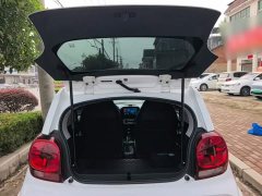 SAIC Corey Wei CLEVER 302km All-Purpose Edition - ფოტო 19