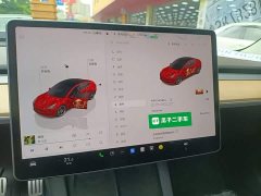 Tesla Model 3 Performance All-Wheel Drive - ფოტო 12
