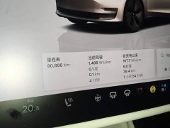 Tesla Model 3 2022 Rear-Wheel Drive - ფოტო 12