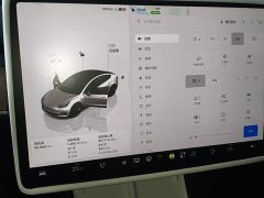Tesla Model 3 2022 Rear-Wheel Drive - ფოტო 13