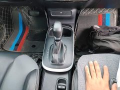 SAIC Clever 311km Vitality Pop Edition - ფოტო 14