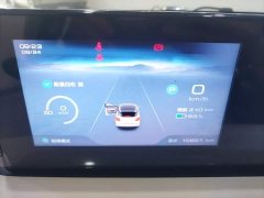Wuling Binguo 333km Joy Edition - ფოტო 12