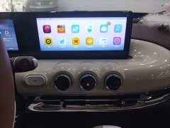 Wuling Binguo 333km Joy Edition - ფოტო 13
