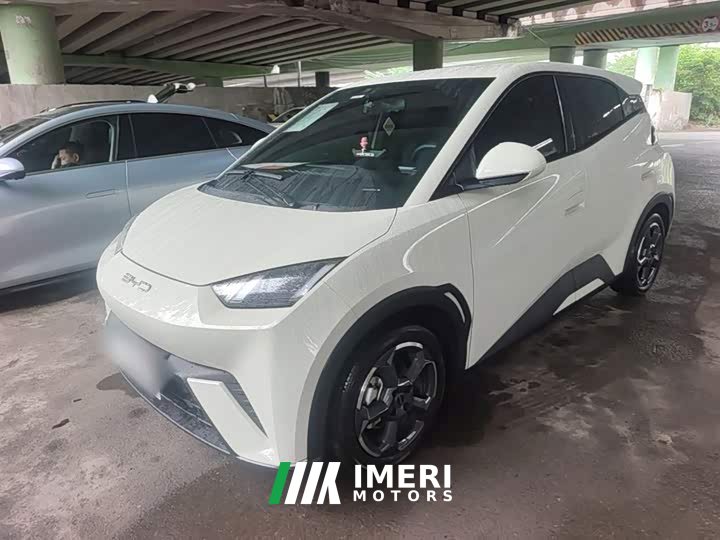 BYD Seagull Glory Edition 305km Freedom Version - ავტომობილი ჩინეთიდან