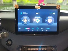 BYD Seagull Glory Edition 305km Freedom Version - ფოტო 10