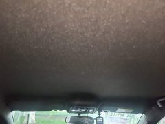 BYD Seagull Glory Edition 305km Freedom Version - ფოტო 18