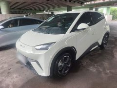 BYD Seagull Glory Edition 305km Freedom Version - ფოტო 2