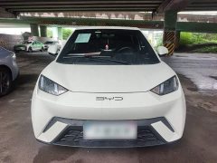 BYD Seagull Glory Edition 305km Freedom Version - ფოტო 3