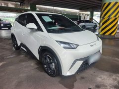 BYD Seagull Glory Edition 305km Freedom Version - ფოტო 4