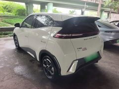 BYD Seagull Glory Edition 305km Freedom Version - ფოტო 5