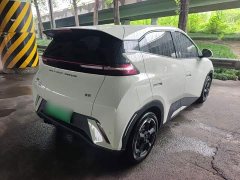 BYD Seagull Glory Edition 305km Freedom Version - ფოტო 7
