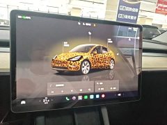 Tesla Model Y 2022 Facelift Rear-Wheel Drive - ფოტო 13