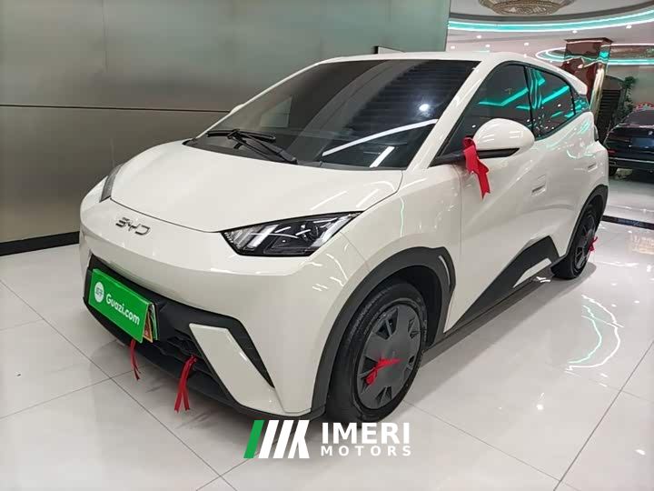 BYD Seagull Glory Edition 305km Vitality Version
