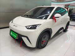 BYD Seagull Glory Edition 305km Vitality Version - ფოტო 1