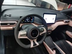 BYD Seagull Glory Edition 305km Vitality Version - ფოტო 10