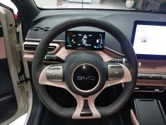 BYD Seagull Glory Edition 305km Vitality Version - ფოტო 11