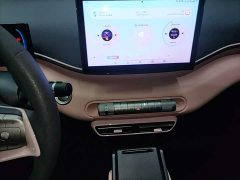 BYD Seagull Glory Edition 305km Vitality Version - ფოტო 13