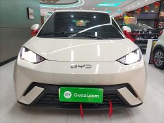BYD Seagull Glory Edition 305km Vitality Version - ფოტო 3