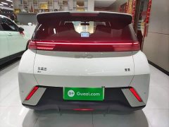 BYD Seagull Glory Edition 305km Vitality Version - ფოტო 6