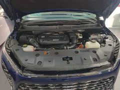 Buick GL8 New Energy 2024 Luzun Luxury Edition 6-Seater - ფოტო 20