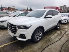 Haval H6 2021 National Trend 1.5T Automatic Champion Edition - ფოტო 1