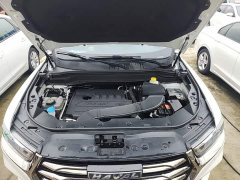 Haval H6 2021 National Trend 1.5T Automatic Champion Edition - ფოტო 20