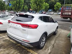 Haval H6 2021 National Trend 1.5T Automatic Champion Edition - ფოტო 7