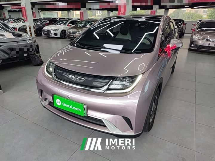 BYD Dolphin 405km Fashion Edition - ავტომობილი ჩინეთიდან