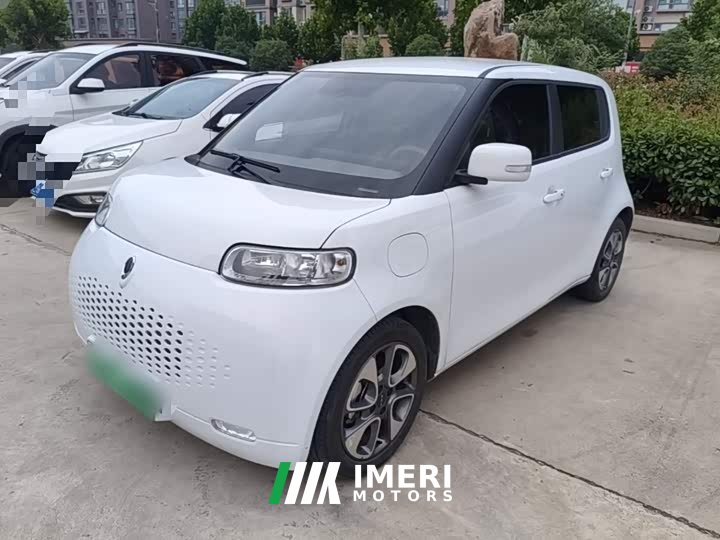 ORA White Cat 2020 305km Luxury - ავტომობილი ჩინეთიდან