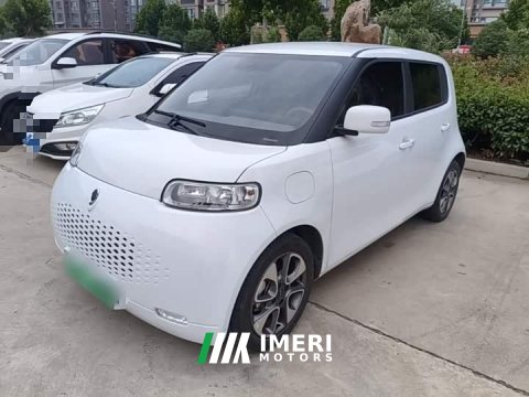 2021 ORA White Cat 2020 305km Luxury - ავტომობილი ჩინეთიდან