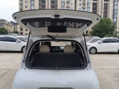 ORA White Cat 2020 305km Luxury - ფოტო 19