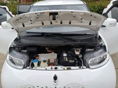 ORA White Cat 2020 305km Luxury - ფოტო 20
