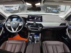 BMW 5 Series 530Li Premier Luxury Package - ფოტო 10