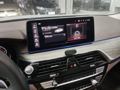 BMW 5 Series 530Li Premier Luxury Package - ფოტო 13