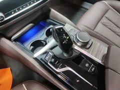 BMW 5 Series 530Li Premier Luxury Package - ფოტო 14
