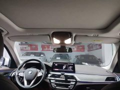 BMW 5 Series 530Li Premier Luxury Package - ფოტო 18